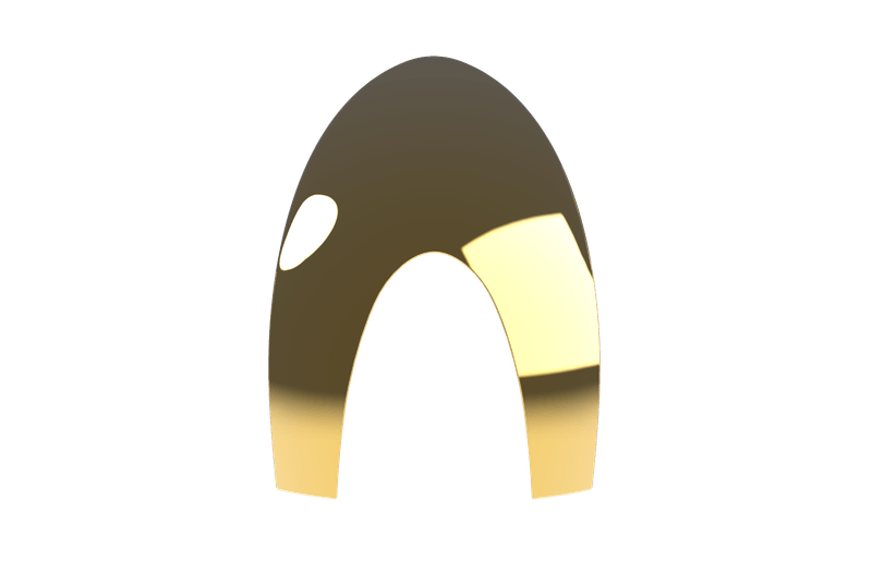 BOXINSFCGLD-20240202125509980png