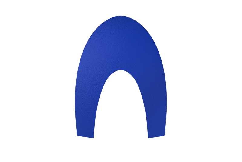 BOXINSFGBLUF-20240202123725532png