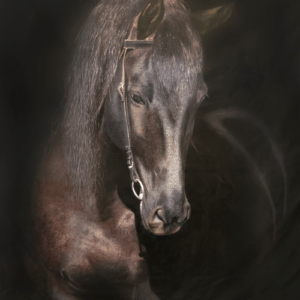 Image of Athlete